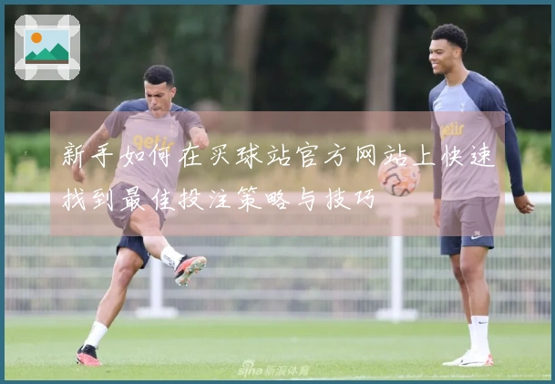 新手如何在买球站官方网站上快速找到最佳投注策略与技巧